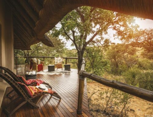 Exploring the Wild with Little Ones: Top 10 Family-Friendly Safari Lodges in South Africa